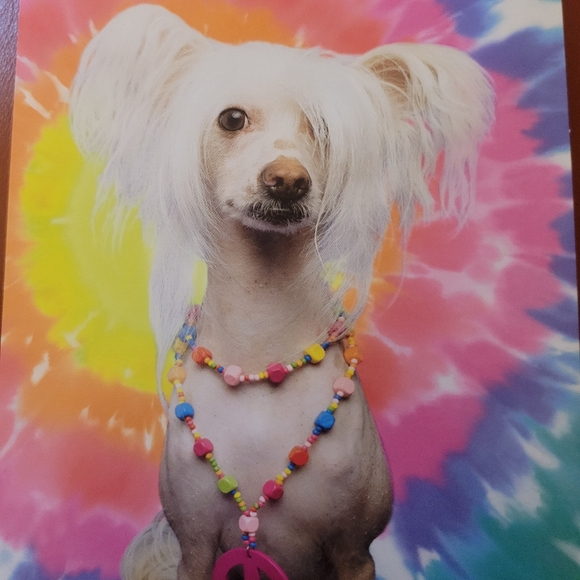 April Savings passed onto YOU! - Picture 1 of 1